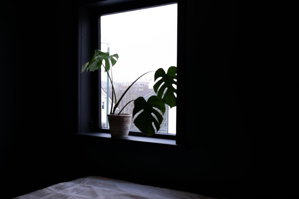 Charming Apartment In Central 스타방에르 외부 사진